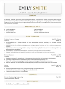 Data Analyst Resume 5