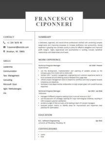 Data Analyst Resume 4